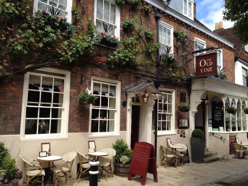 The Old Vine - Genel