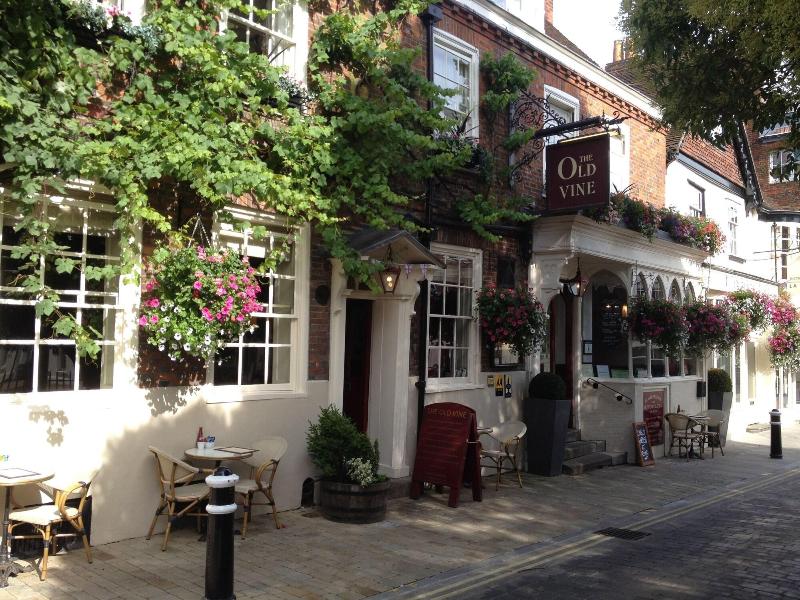 The Old Vine - Genel