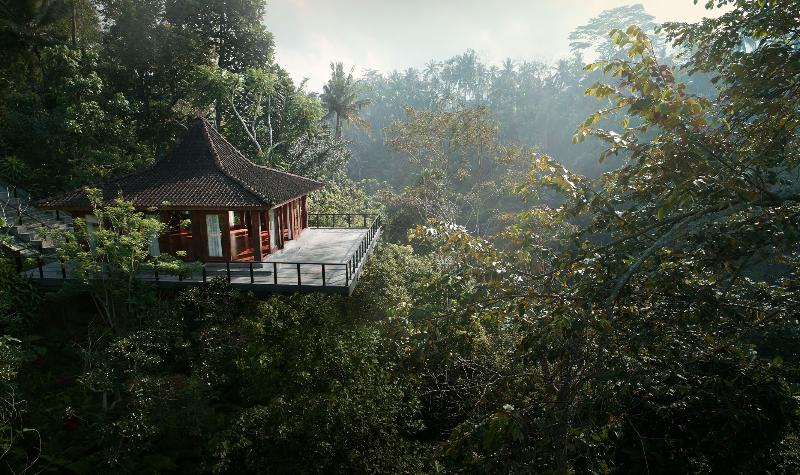 Kamandalu Ubud - Aktivite