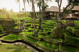 Kamandalu Ubud fotoÄŸrafÄ±