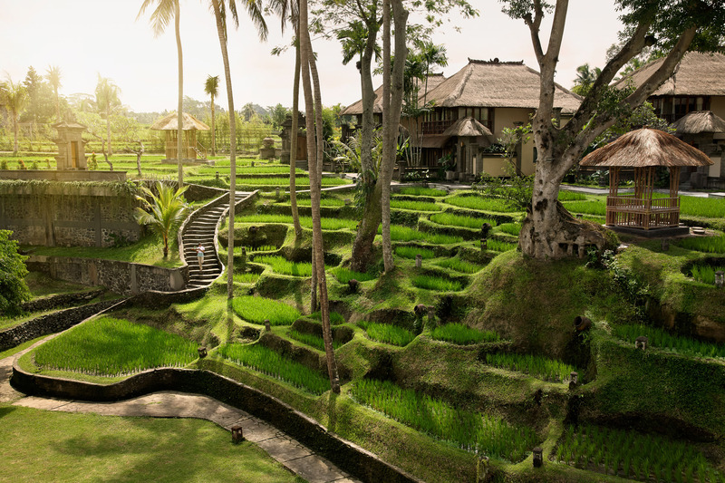 Kamandalu Ubud - Genel