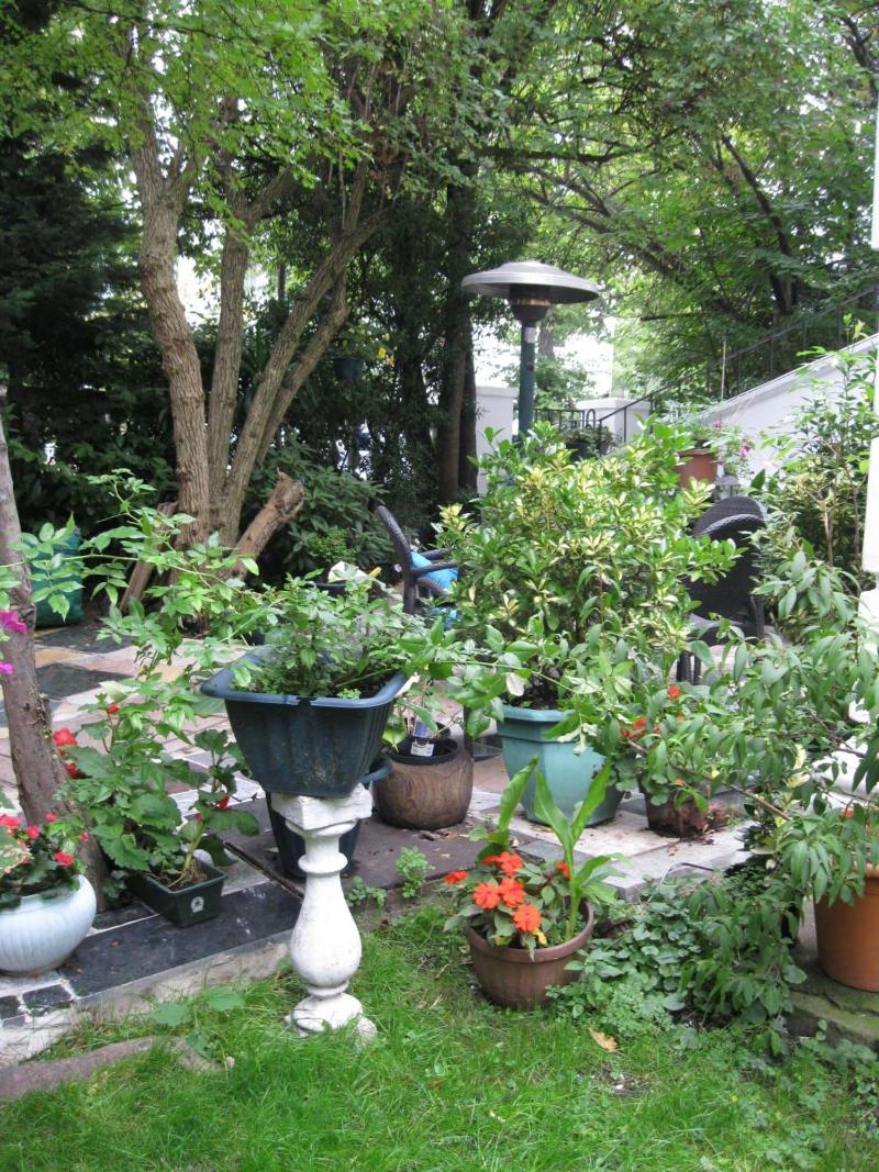 Dawson Place, Juliette's Bed and Breakfast - Genel
