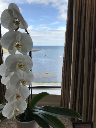 Bayview Hotel fotoÄŸrafÄ±