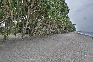 Jayakarta Lombok Beach Resort & Spa fotoÄŸrafÄ±