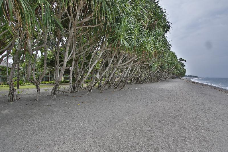 Jayakarta Lombok Beach Resort & Spa - Plaj