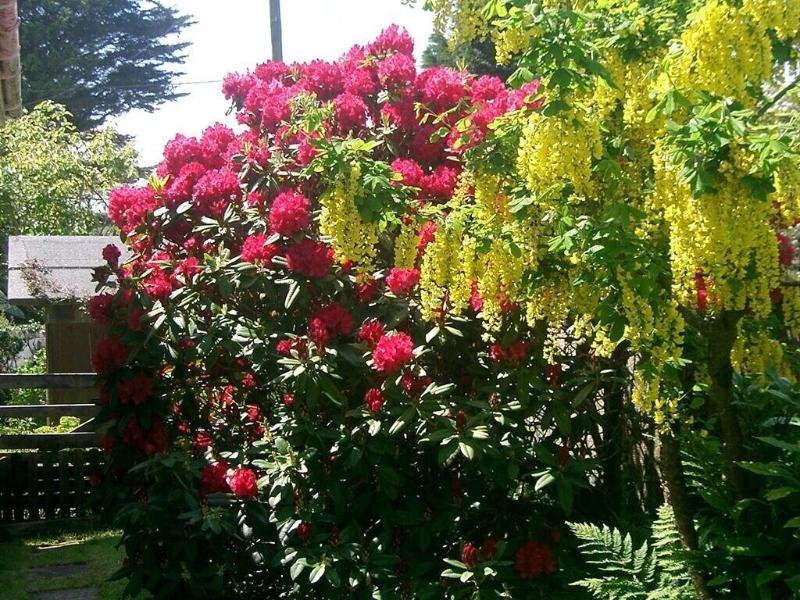 Paths End - Genel