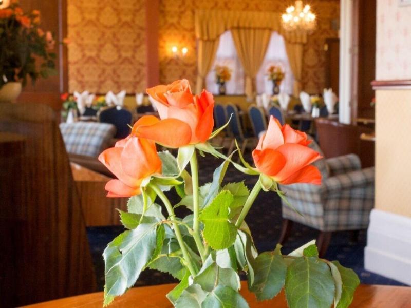 Furzedown Hotel - Bar