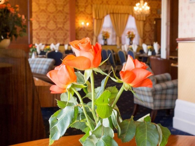 Furzedown Hotel - Bar