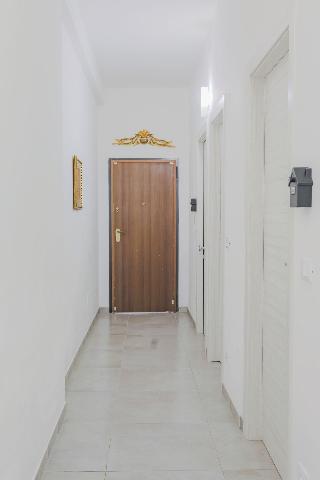 Holabologna fotoÄŸrafÄ±