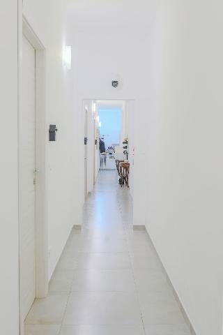 Holabologna fotoÄŸrafÄ±