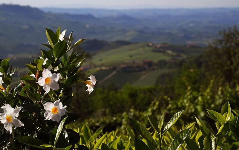La Ribezza Boutique Hotel - Genel