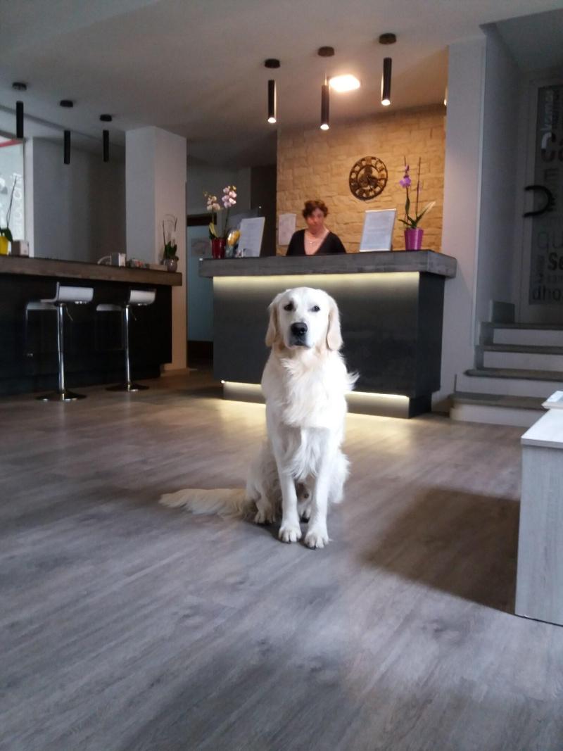 Hotel Perpoin - Lobi