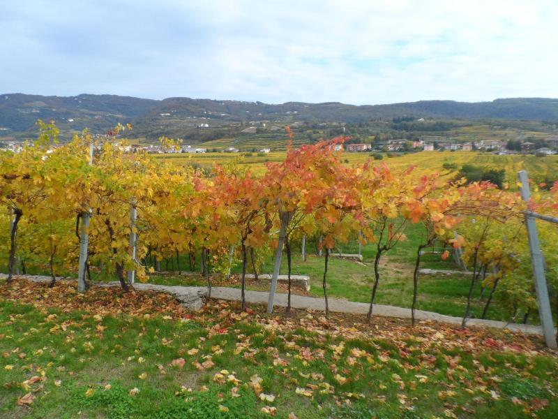 Hotel Villa Moron - Genel