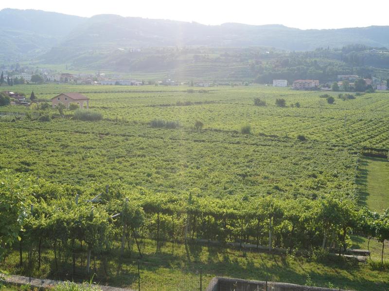 Hotel Villa Moron - Genel