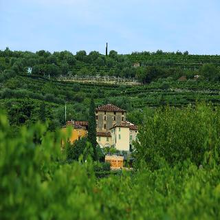 Hotel Villa Moron fotoÄŸrafÄ±