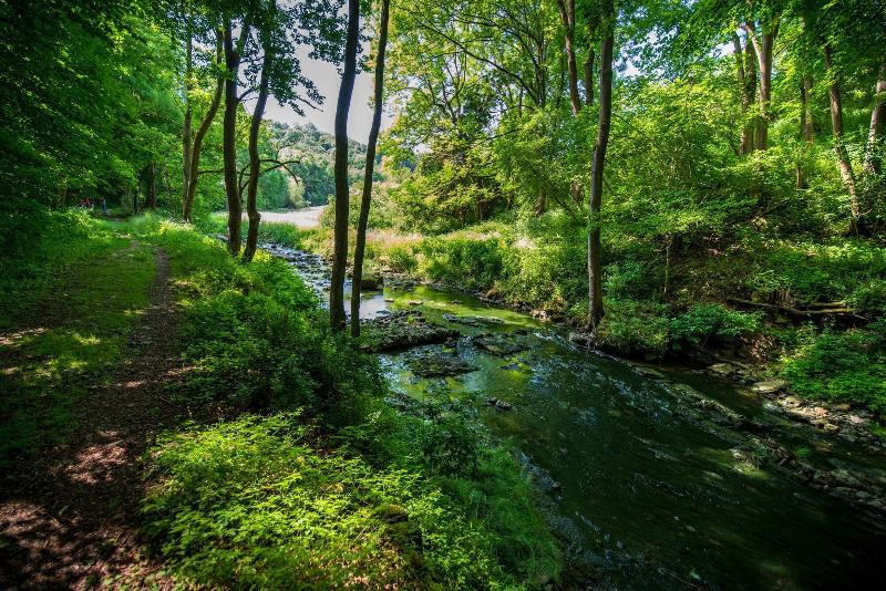 Evangelische Tagungsstätte Wildbad - Aktivite