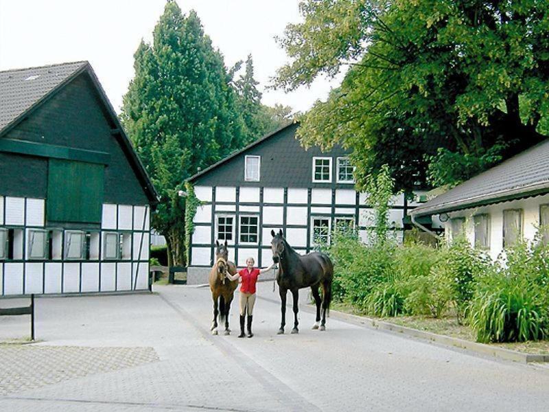 Hotel Gut Moschenhof - Aktivite