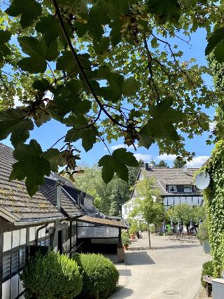 Hotel Gut Moschenhof fotoÄŸrafÄ±