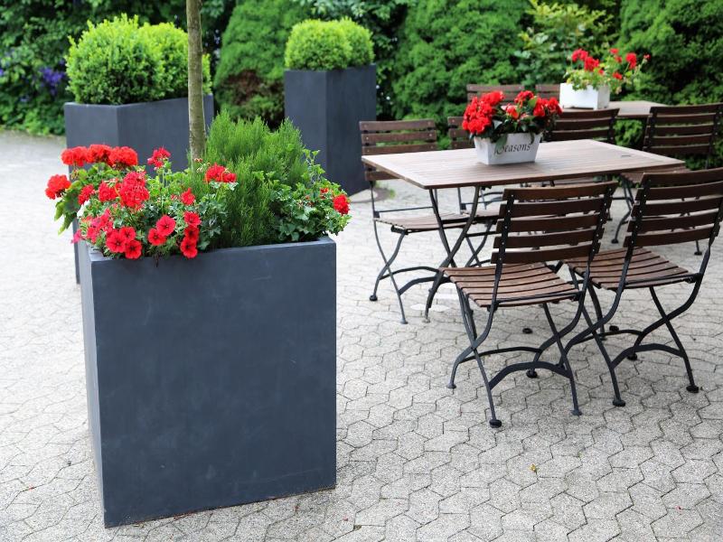 Hotel Gut Moschenhof - Genel