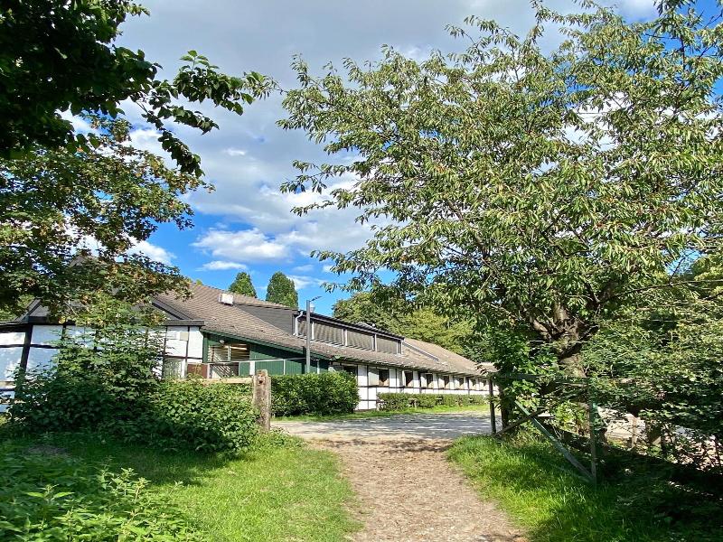 Hotel Gut Moschenhof - Genel