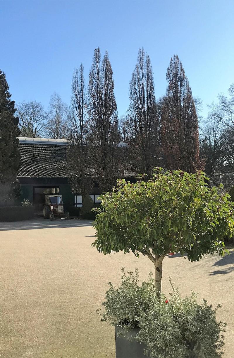 Hotel Gut Moschenhof - Oda