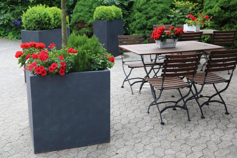 Hotel Gut Moschenhof - Teras