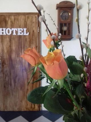 Hotel Bad Langensalza Eichenhof fotoÄŸrafÄ±