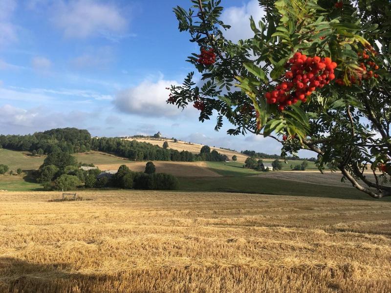 Hotel Dachsbaude & Kammbaude - Genel