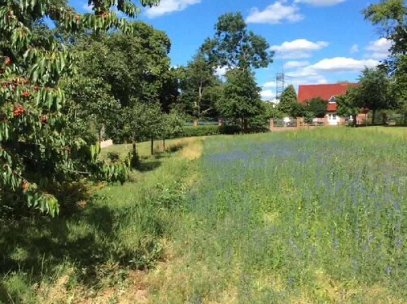 Gut Gremmelin - Genel