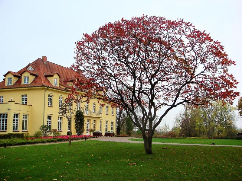 Gut Gremmelin - Genel