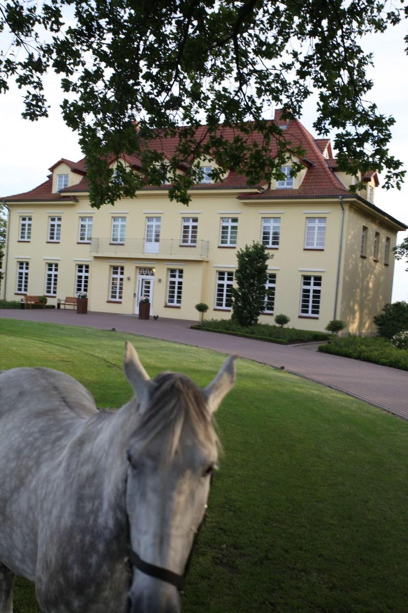 Gut Gremmelin - Oda