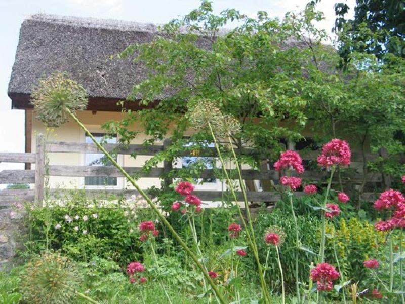 Gut Gremmelin - Oda