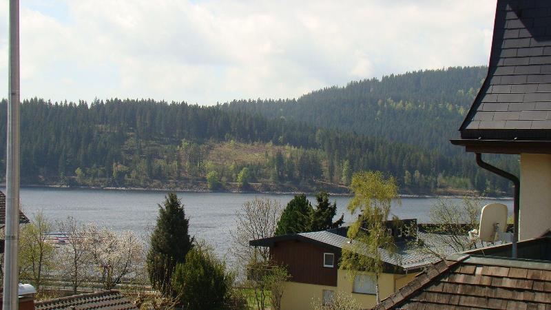Hotel Jägerhof - Genel