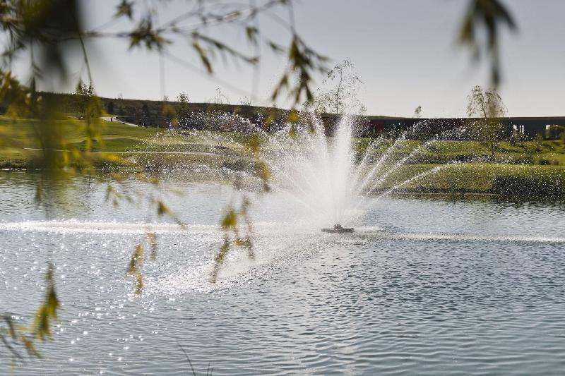 Kölner Golfclub - Aktivite
