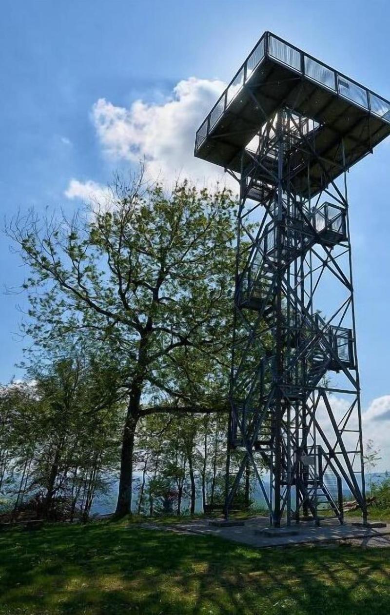 Hotel Am Maibaum - Genel