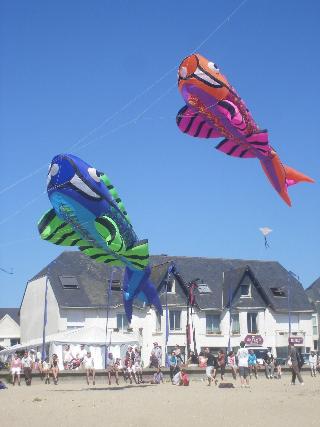 Les Chants d'Ailes fotoÄŸrafÄ±