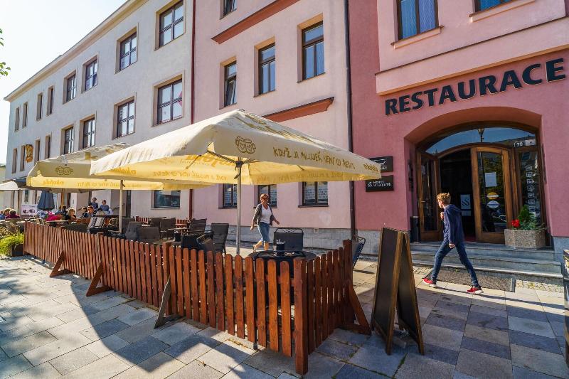 Hotel U Labutě - Genel