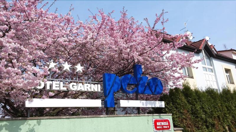 Hotel Peko - Genel