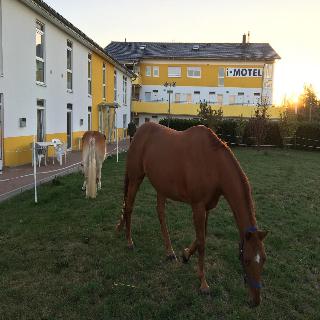 i-Motel fotoÄŸrafÄ±