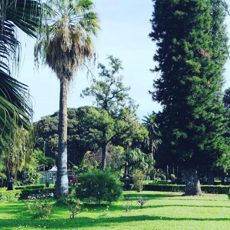 120 Rodionoff Palermo Hotel B & B - Genel