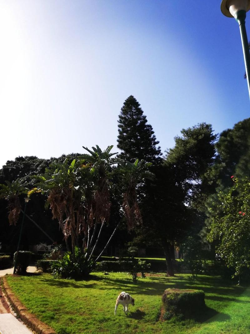 120 Rodionoff Palermo Hotel B & B - Genel