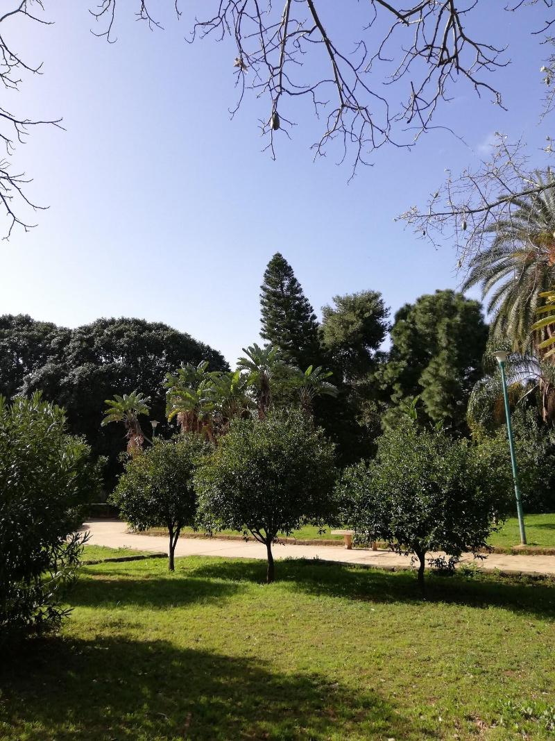 120 Rodionoff Palermo Hotel B & B - Genel