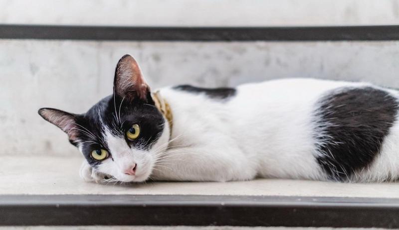 Tamsabai Hotel - Lobi