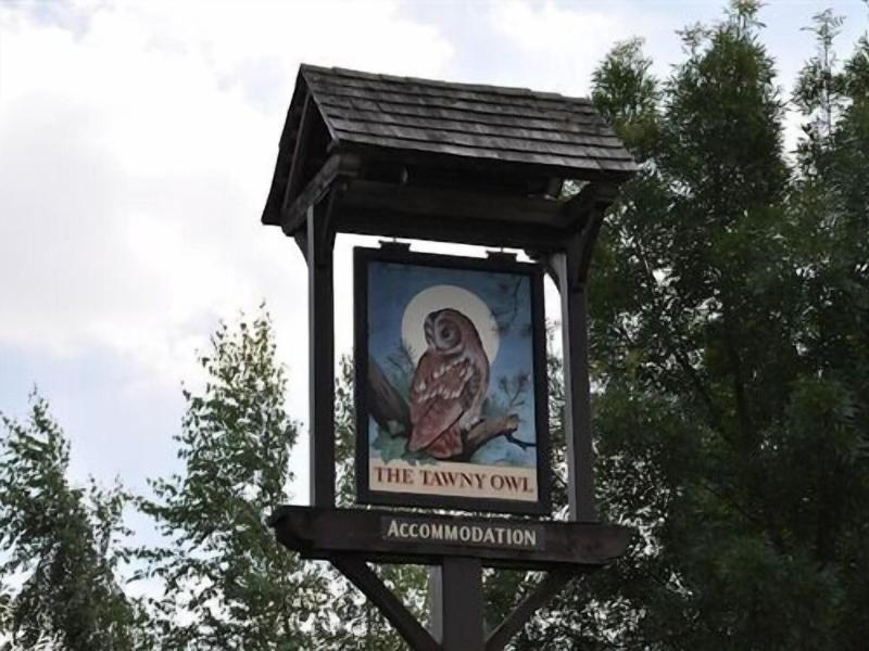 The Tawny Owl - Genel
