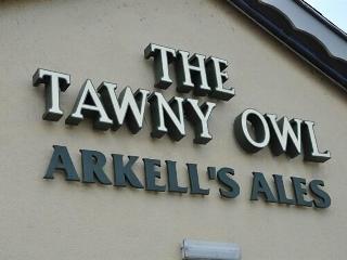 The Tawny Owl fotoÄŸrafÄ±