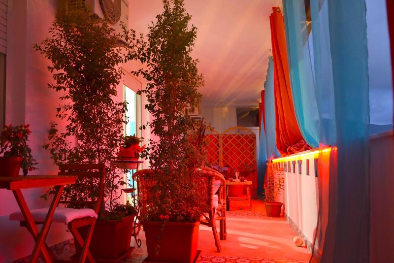 B&B Ballarattik - Teras