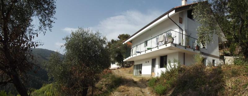 B&B L'Intrigante - Genel