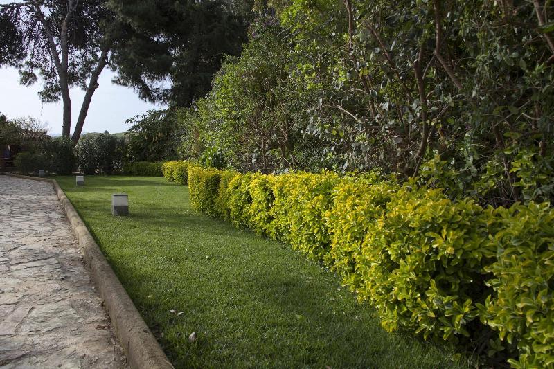B&B Villaseta - Genel