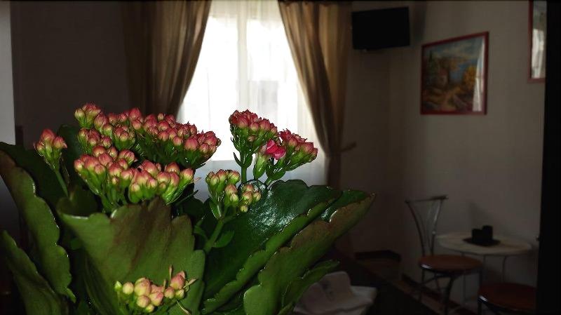 B&B Galleria Frascati - Oda
