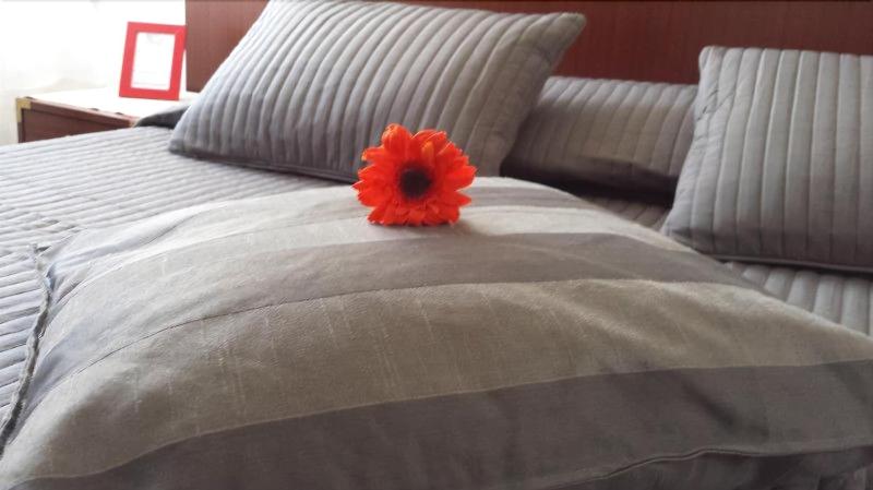 B&B Galleria Frascati - Oda